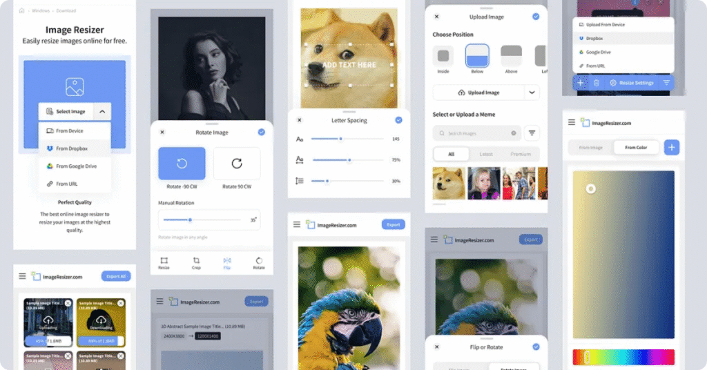 WebP zu AVIF Konvertieren: Online Converter für AVIF & WebP